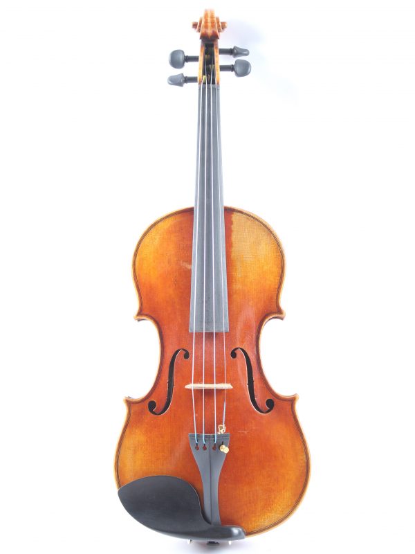 Guadagnini Violin Resized (3)