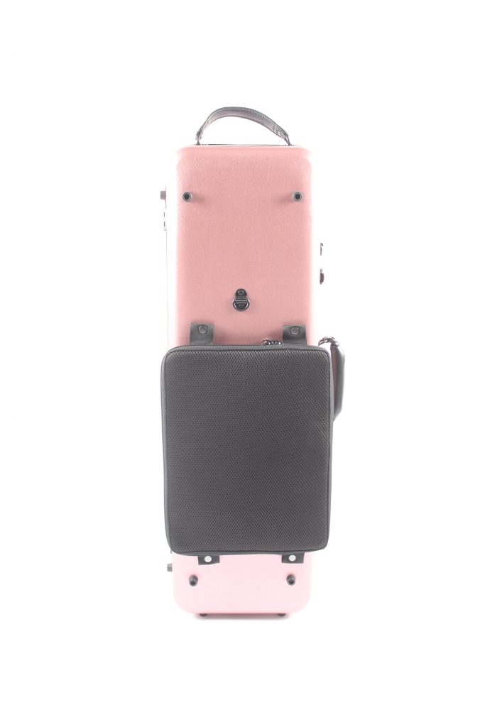 Anderson pink case